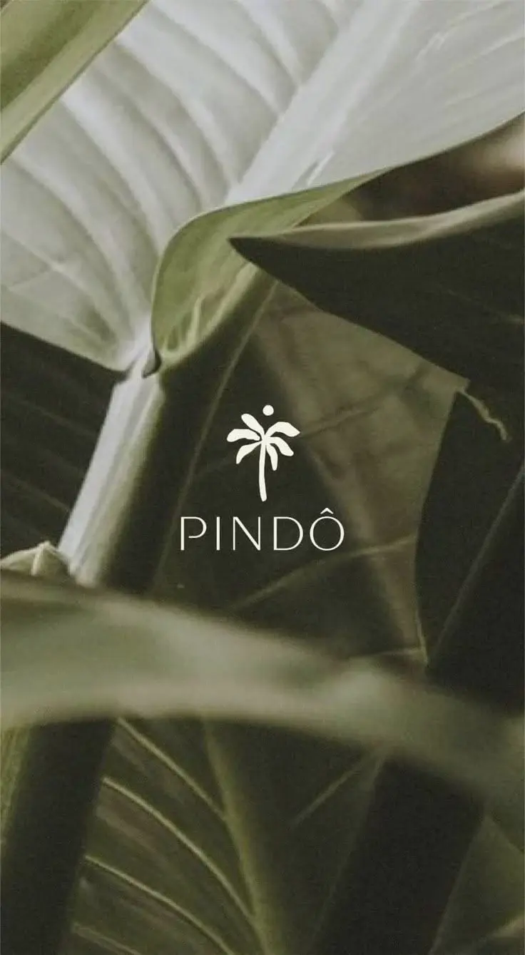 marca-identidad-branding-elevate-marketing-digital